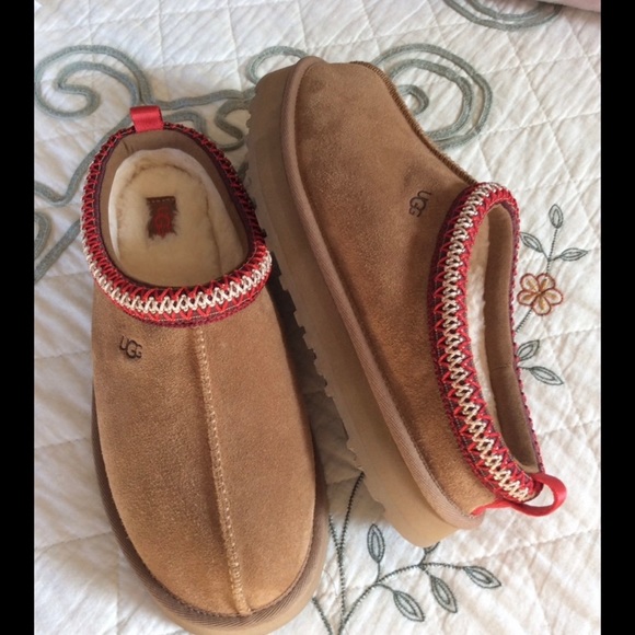 UGG Shoes - UGG TAZZ
